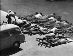 ���� ������ ��� ��� ����